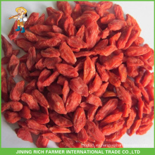 Ningxia orgánico secado Goji Berry (Wolfberry) toda la forma para la exportación